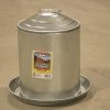 Poly Rabbit and Chicken feeders - Image 4