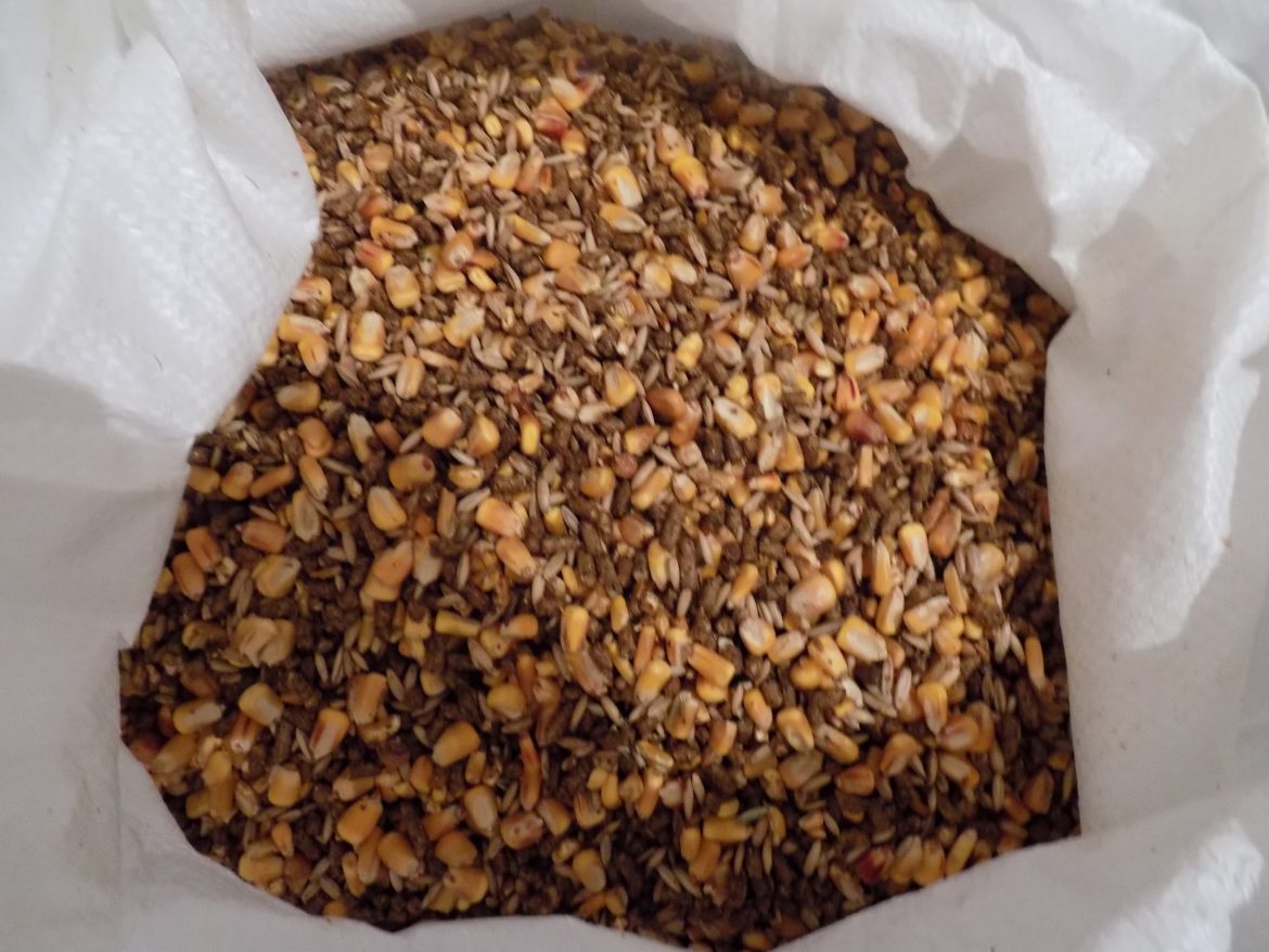 16 Whole Grain Calf Lehman Feed Mill